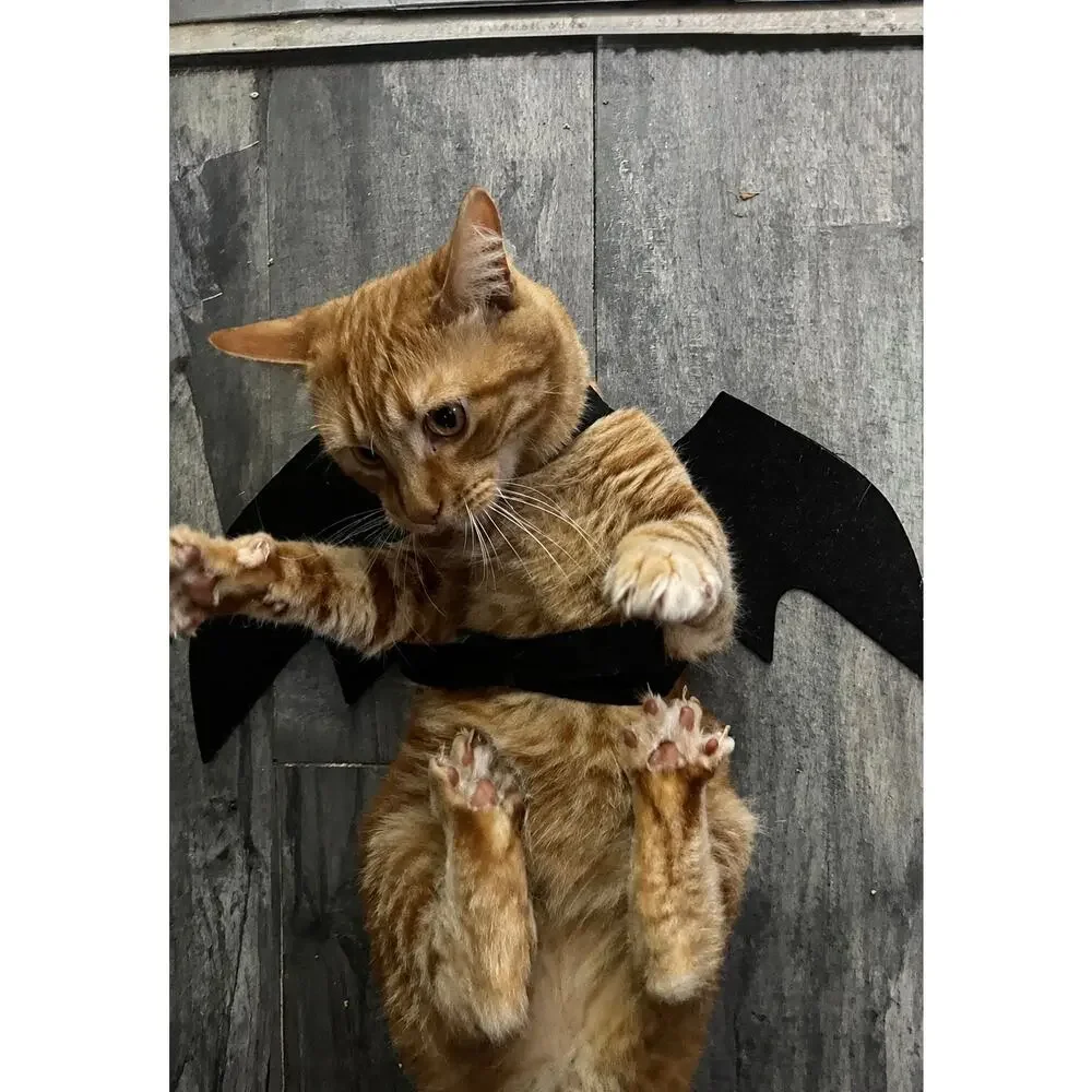 Bat Wings Pet Costume Adjustable – New in Package Halloween